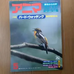 アニマ 1979年5月号 バード・ウォッチング特集号 平凡社