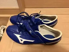ミズノ ジオサイレンサー8