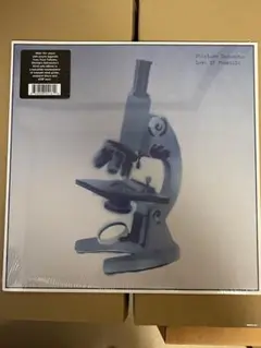 坂本慎太郎 / できれば愛を 新品未開封LP US盤 ゆらゆら帝国