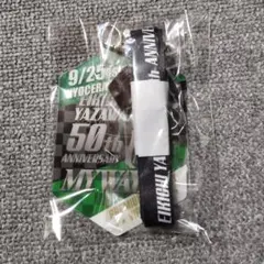 矢沢永吉 PSS席スタッフパス