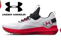 UnderArmour Men's Project Rock BSR 3