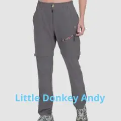 Item thumbnail for item 5c240df9-416c-4b6a-8ac3-62f9bb0b2587