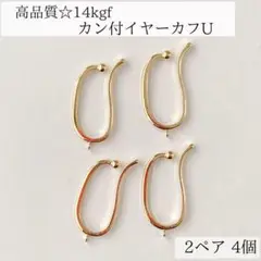 Item thumbnail for item 21fdb991-7b59-427a-abcb-5724aea91041