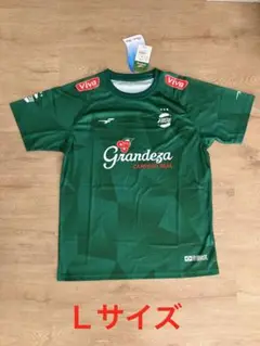 Item thumbnail for item 59fa04fe-5372-466d-a19a-7c614ed10be6