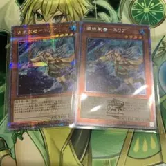 遊戯王　憑依装着エリア　25th 2枚