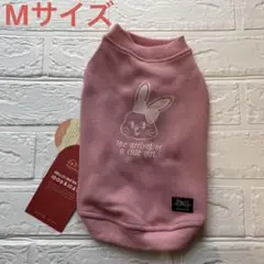 Item thumbnail for item f6f1fb0d-9555-45e2-bde3-f706eab71b46