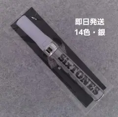 SixTONESペンライト　チェンエラ【14色・銀】