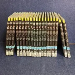 悲しくて、愛　 DVD 20巻セット