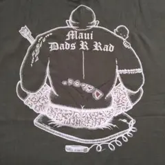 ハワイ マウイ Hi-Tech Tシャツ Lサイズ 11