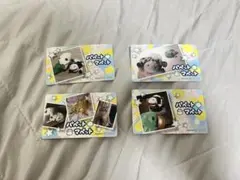 パペットマペット ポップアップストア お買い上げ特典 フォトカード