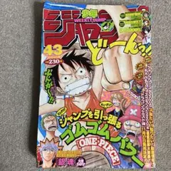 週刊少年ジャンプ　2004年43号 ワンピース表紙
