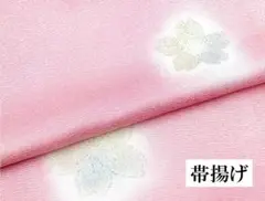 Item thumbnail for item 4ec0fbf4-f1dd-49c6-a3db-bb433f184443