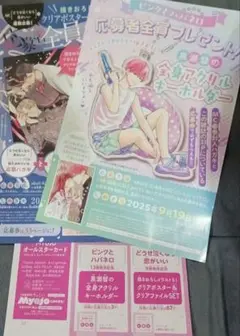 マーガレット　１８号　応募券1セット　どうせ泣くなら　ピンクとハバネロ