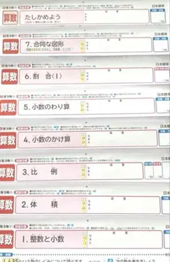 小学5年 算数 1学期 カラーテスト 啓林館 日本標準