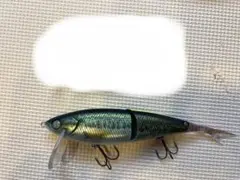 ネコソギDSR