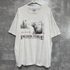 PIGEON FORGE アニマル柄　クマUSA製 CALCRU 90sTシャツ