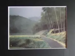 小泉 智英 【時雨去る】 希少画集画、状態良好、新品高級額装付 Yahoo!オークション - 小泉 智英 【時雨去る】 希少画集画 状態