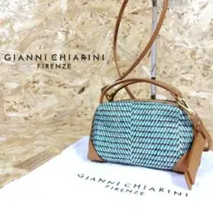 極美品 ジャンニキャリーニ アリファＳ 収納袋 GIANNI CHIARINI