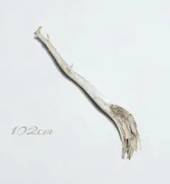 Item thumbnail for item e84484e9-64a0-4d84-940f-8a9be503a6c2