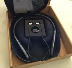 Item thumbnail for item d3fbda36-40bf-4418-a648-302d10463df7