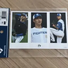 日本ハムファイターズ　フォトミニバナー　達孝太 #16