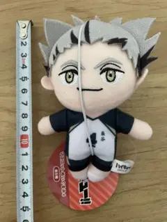 ハイキュー!!　マスコットぬいぐるみ４　木兎光太郎