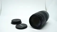 Item thumbnail for item d4d47294-5cd8-45db-927c-32d8d5be34d5