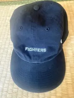 北海道日本ハムファイターズ　FIGHTERS ロゴキャップ　47 フリーサイズ