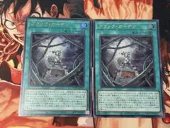 ブラックガーデン ブラック・ガーデン スーパー 2枚