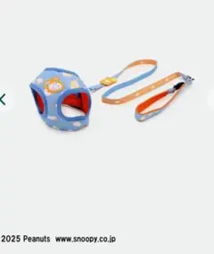 Item thumbnail for item ebff7c9f-58c7-4d1a-ab7a-67cc15b01585