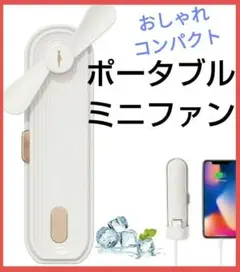 Item thumbnail for item 2303bba0-4dae-4c26-b8af-518f6148356f
