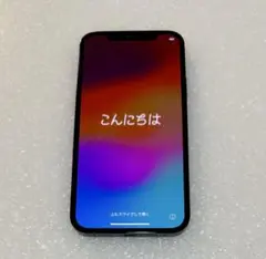 iPhone 12pro 256GB （SIMフリー)