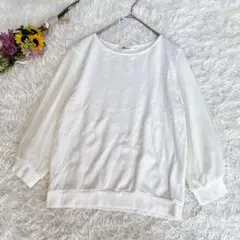 【エスペラック】異素材　長袖カットソー　シフォンスリーブ　ホワイト　F