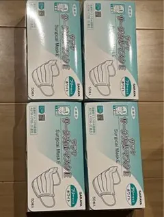 Item thumbnail for item 513ea434-fb6c-4bb1-98fc-d63e88bd61ee