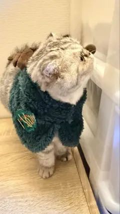 Item thumbnail for item 06420006-8c42-405a-8a2a-c7da003d1593