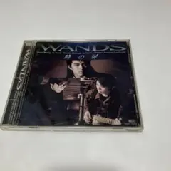 10、WANDS 時の扉 CD