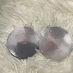 うらたぬき たぬワン シークレット