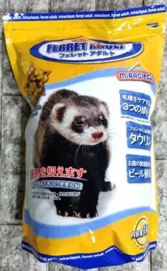 Item thumbnail for item b7349970-c8a0-4ef9-a4c6-dcb830c76f0c