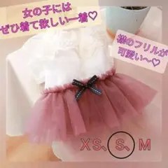 【Sサイズ】犬の服 ワンピース オールインワン ピンクフリルスカート 白のレース