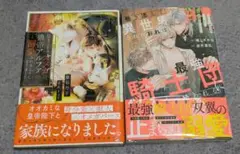 BL小説　2冊セット