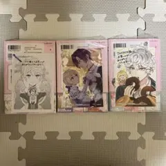 殿下、あなたが捨てた女が本物の聖女です 1〜3 特典同封