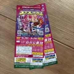 木下大サーカス チケット　名古屋市　白川公園　チケット2枚 ペアチケット