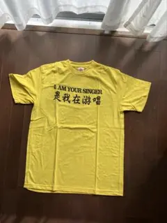 サザンオールスターズ　Live Tシャツ