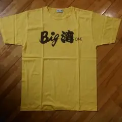 BIG JOHN 半袖Tシャツ【L】激レア
