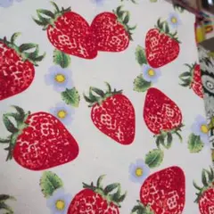 Item thumbnail for item b9a8066f-9a33-4e2e-9a7c-0d03c0437503