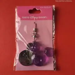 DISNEY RESORT ミニー ミラーストラップ