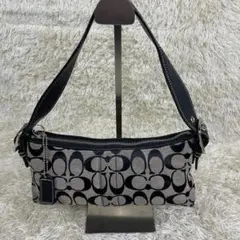 【希少】COACH コーチ アクセサリーポーチ グレー系 シグネチャー