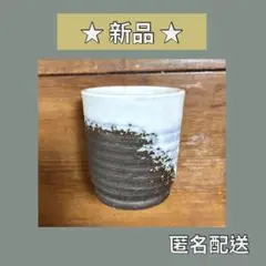 Item thumbnail for item ab27fd7f-f040-4644-8657-25047f139235