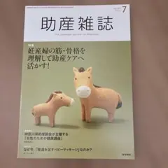 助産雑誌 2017年7月号