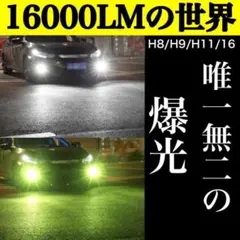 フォグランプ 2色切替 ライムグリーンu0026ホワイト H8H9H11 SS145